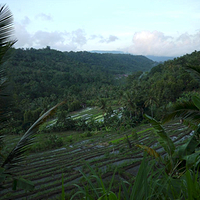 Photo de Bali - Pulakai et Gilimanuk - trekking